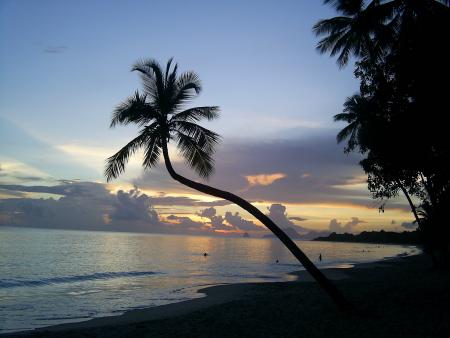  Les Salines
